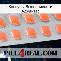 Капсулы Выносливости Аджантас 26